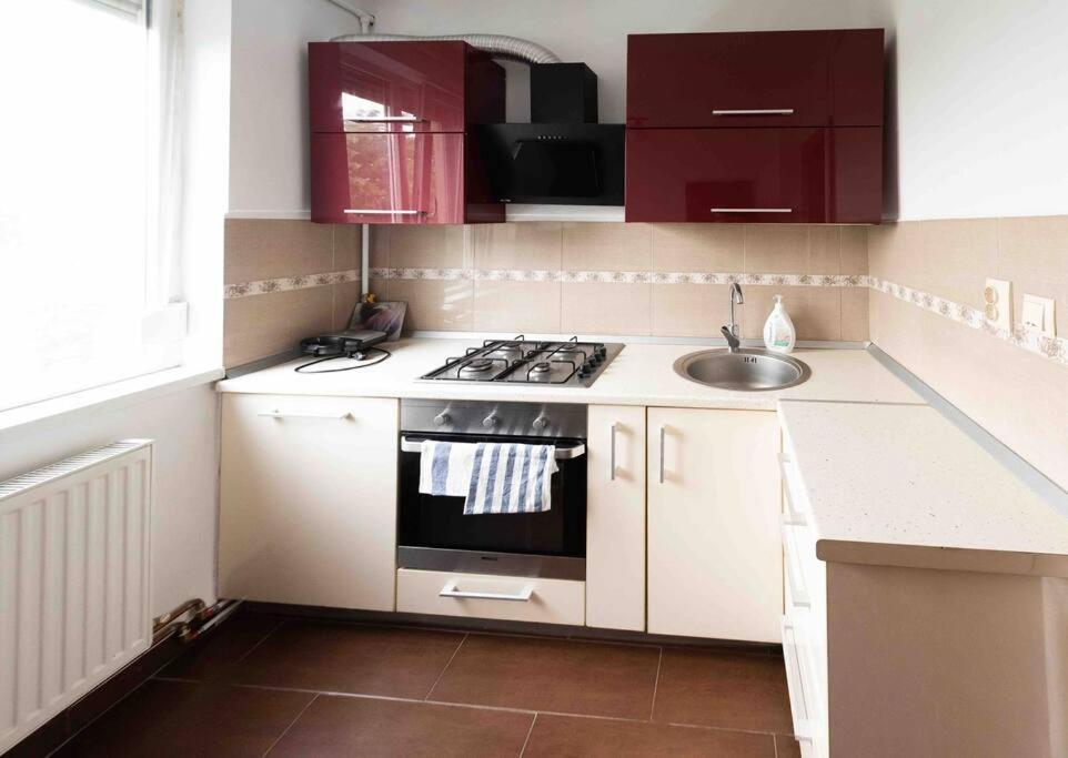 Apartament Timisoara Apartment Екстериор снимка